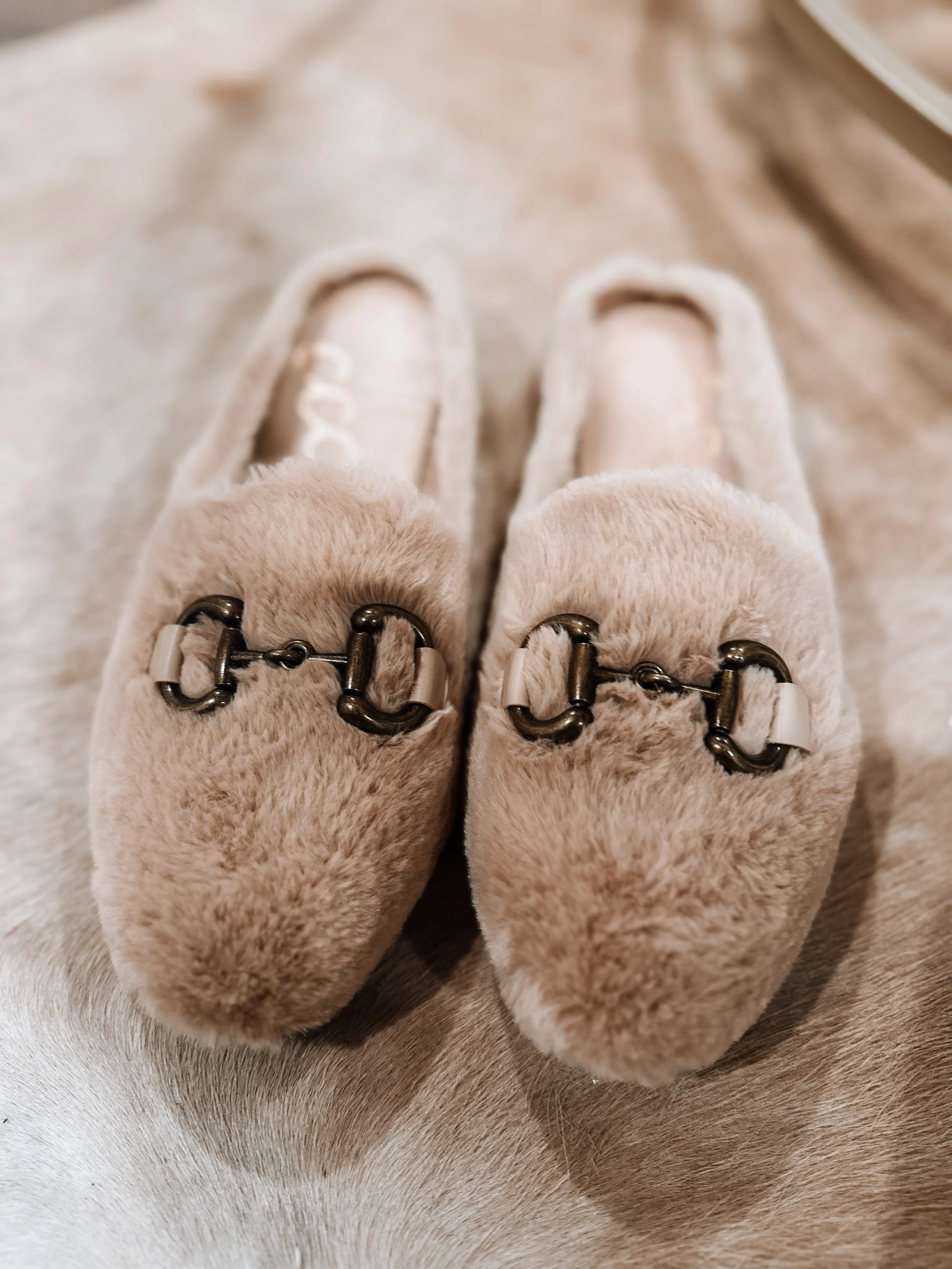 Sherpa Slides