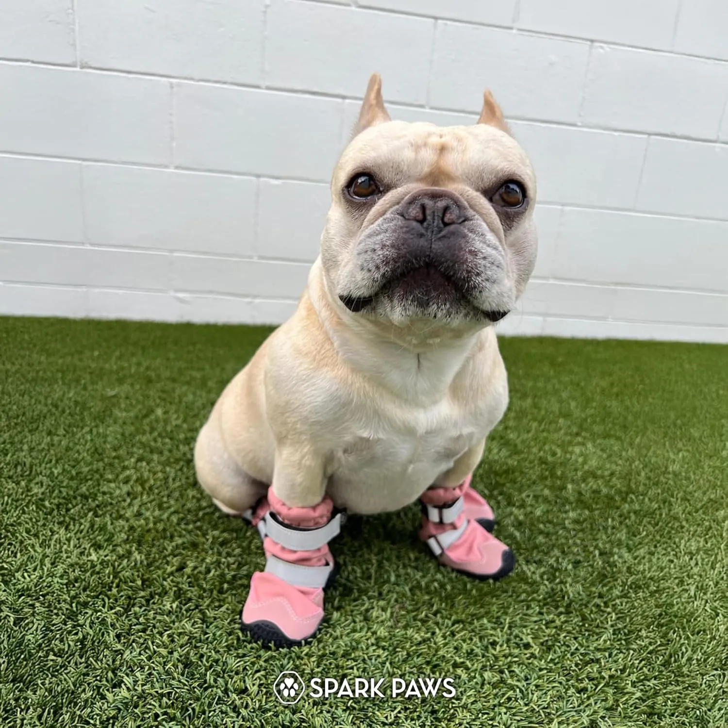 Spark Paws Dog Shoes, Water Resistant Dog Boots for Medium to Large Dogs, Non Slip, Breathable Dog Booties and Paw Protectors - 4PCS Doggie Hiking Boots with Reflective Straps - Pink, B